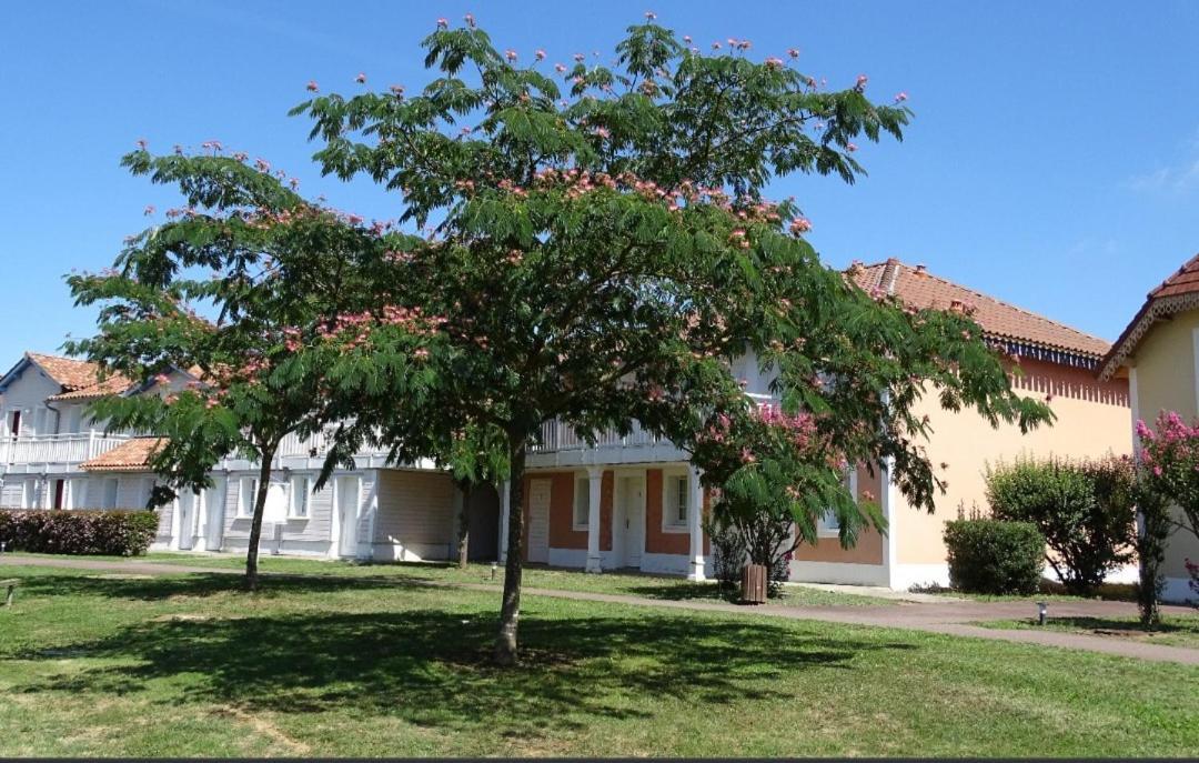 Appartement Au Calme Face Au Lac Marciac Exterior foto